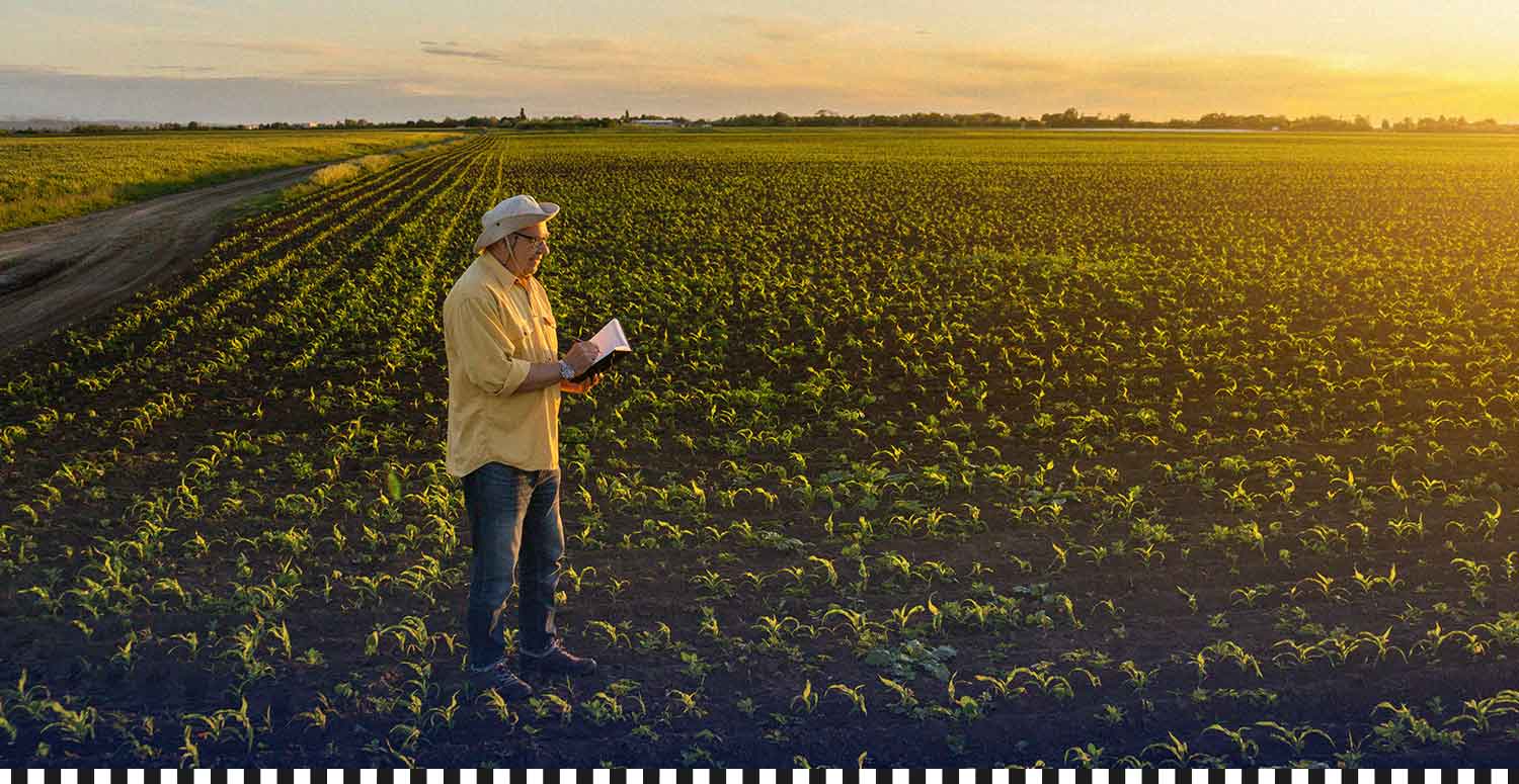 Contabilidade e tributação para o agronegócio