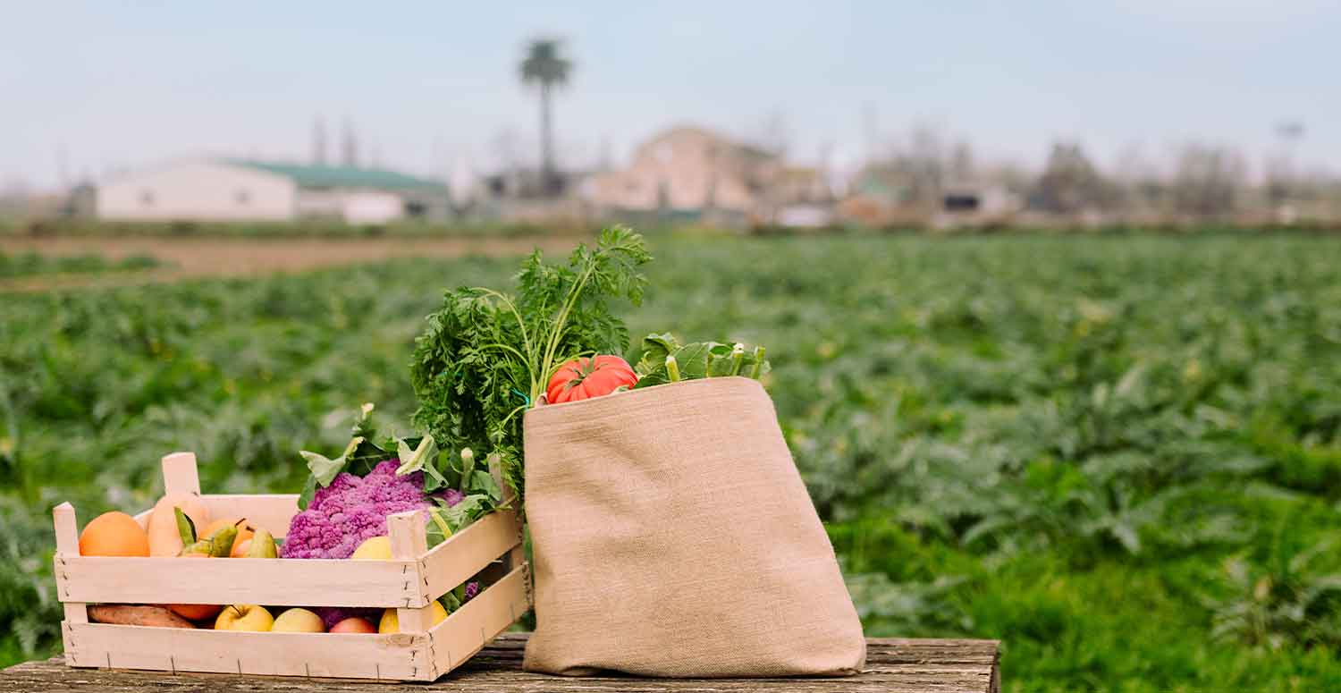 Produto Rural 2019: Desafios dos novos ambientes digitais